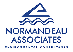 Normandeau logo